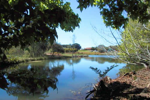 Platypus and Bird Viewing